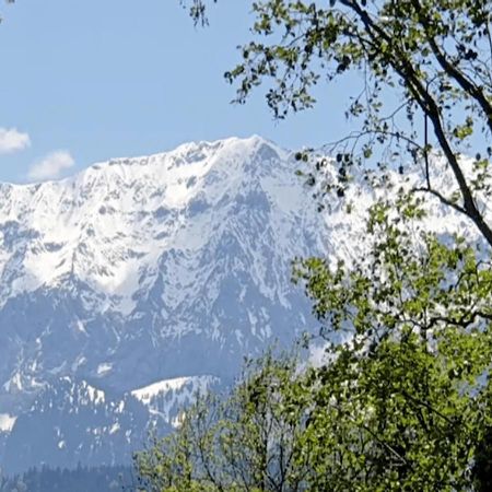 Panoramahaus Hopfner Naehe Zugspitze Und Eibsee 가르미슈파르텐키르헨 외부 사진